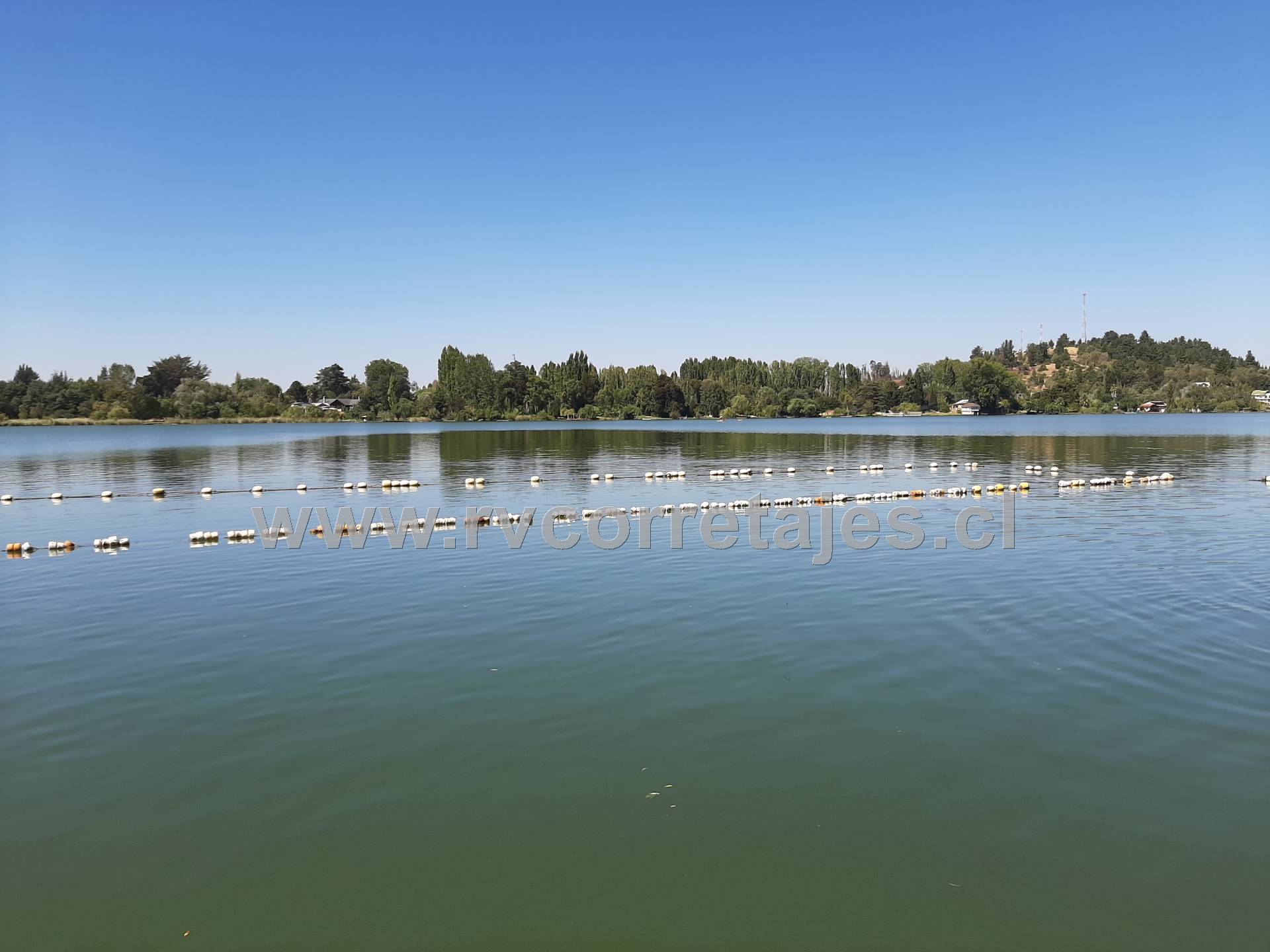 Quillón vendo cabaña con acceso a la laguna