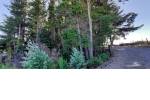 Quirihue. Vendo 1,5 hectáreas de terreno en $45.000.000. Con plantación de pinos y eucaliptos.