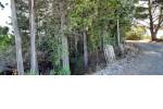 Quirihue. Vendo 1,5 hectáreas de terreno en $45.000.000. Con plantación de pinos y eucaliptos.