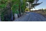 Quirihue. Vendo 1,5 hectáreas de terreno en $45.000.000. Con plantación de pinos y eucaliptos.