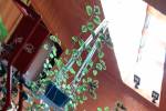 Hualqui, vendo casa grande con local comercial