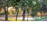 Quillón vendo parcela con 2 casas y piscina. $175.000.000.