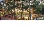 Quillón vendo parcela con 2 casas y piscina. $175.000.000.