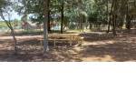 Quillón vendo parcela con 2 casas y piscina. $175.000.000.
